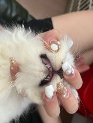 -HAO美皮肤管理·美甲美睫