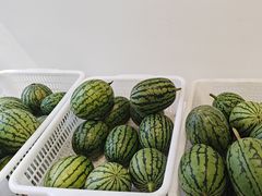-食悦江南·淮扬菜·烤鸭(亚运村·惠新店)