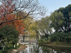 -杭州城北体育公园