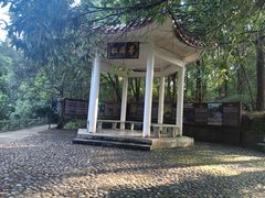 -四会奇石河风景区
