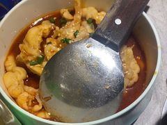 -肥家大排档(天河体育西店)