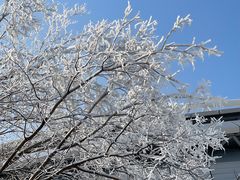 -沈阳奥体冰雪嘉年华