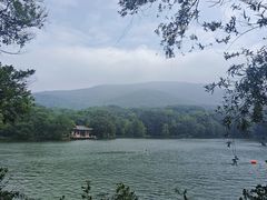 -紫霞湖公园