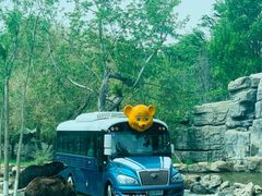 -北京野生动物园