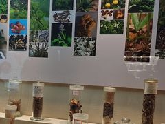 -广东中医药博物馆