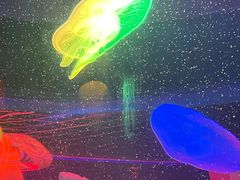 -太平洋海底世界