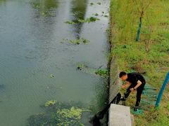 -七的湖·晚芳亭·阳澄湖农家菜·大闸蟹(莲花岛店)