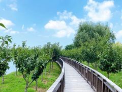 -羊亭河湿地公园