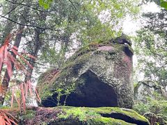-汤旺河林海奇石景区