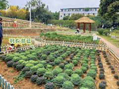 -天河儿童公园