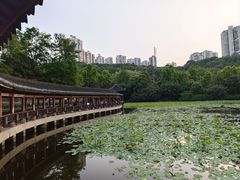 -龙头寺公园