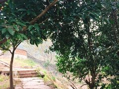 -金堂县云顶石城风景区