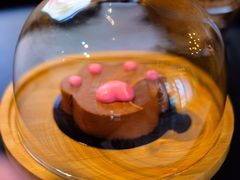 -喵屿·大理花园猫咖