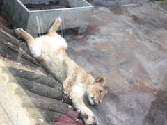 -西安秦岭野生动物园