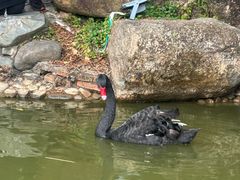 -珠海圆明新园
