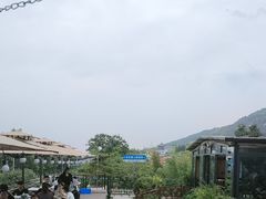 -蘇河湾·新鲁菜·泰山宴(泰山店)
