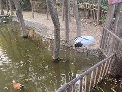 -济南野生动物世界