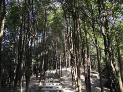 -火炉山森林公园