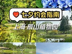 -上海辰山植物园