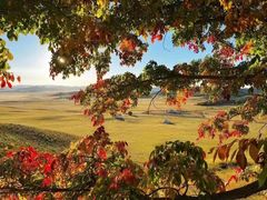 -塞罕坝国家级自然保护区