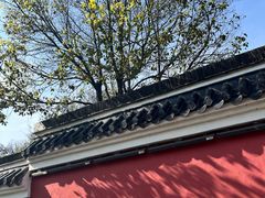 -句容茅山景区