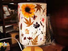 -二酉书店TOYOU BOOKS