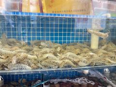 -蟹谢蒸鲜自助餐厅