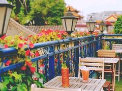 -Sirena海妖日咖夜酒