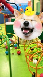 -莫莉幻想儿童乐园(武汉保利广场店)