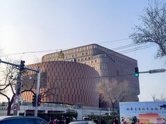 -中国宋庆龄青少年科技文化交流中心