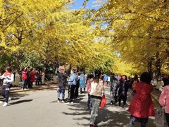 -辽宁大学(崇山校区)