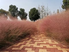-苏州吴中太湖旅游区