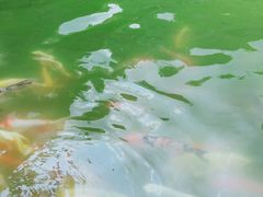 -杭州浪浪浪水公园