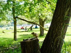 -森工平山皇家鹿苑景区
