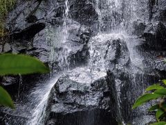 -马峦山郊野公园
