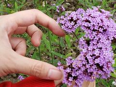 -杭州城北体育公园