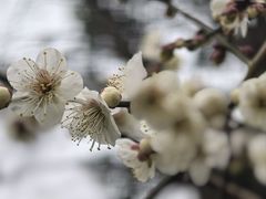 -宝岩生态观光园