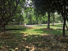 -盘龙城国家考古遗址公园