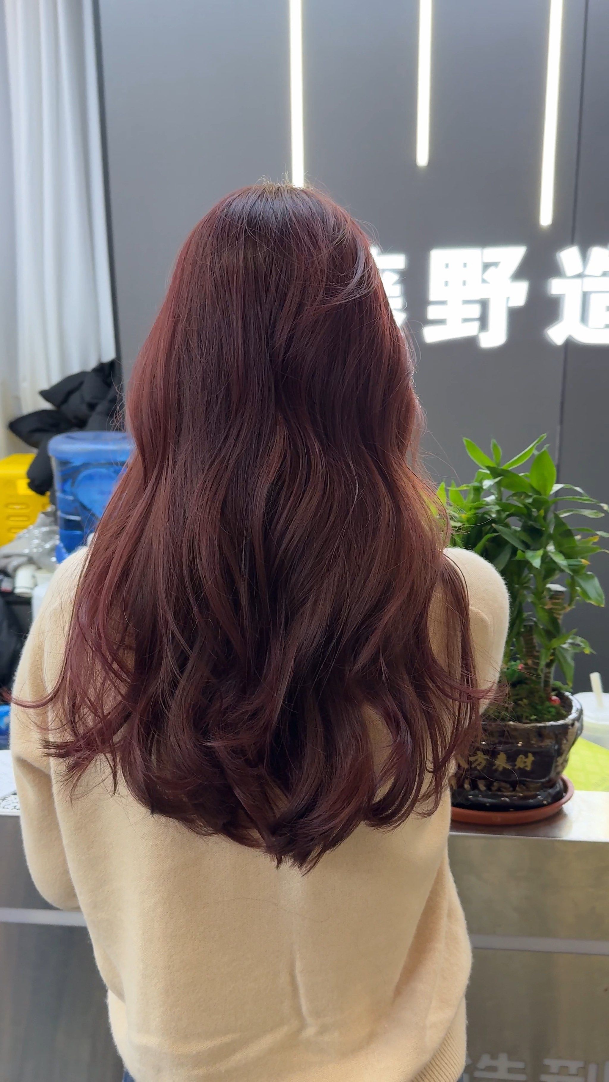 玫瑰发色,美翻了