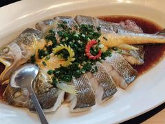 -上海小南国(国会店)