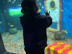 -大连圣亚海洋世界