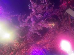 -路边边.炒菜烧烤.音乐餐厅(良乡长虹店)