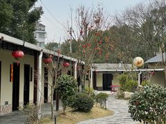 -湘力力小院·鱼汤泡饭(枫林路店)