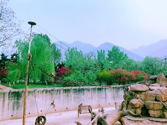 -西安秦岭野生动物园