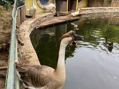-南宫温泉水世界