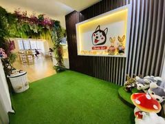 -Husky Go! 哈士奇体验馆·宠物咖啡厅狗咖