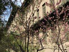 -北京协和医院(东单院区)