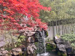 -上海醉白池公园