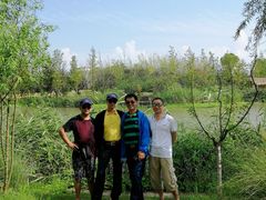 -上海长兴岛郊野公园