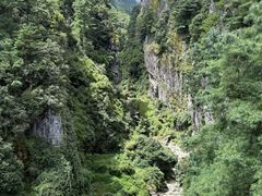 -苍山感通索道